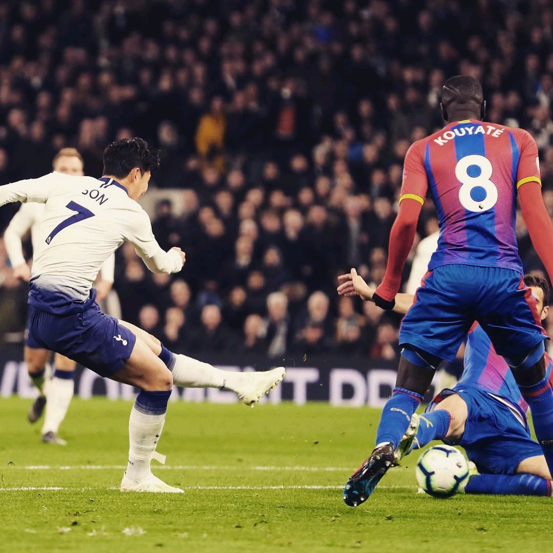 年总冠军成 年总冠军成