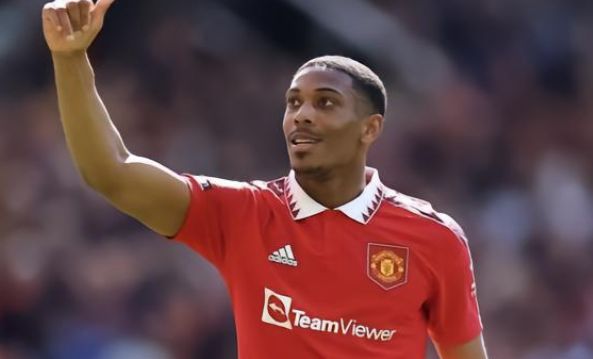 他们同样对 他们同样对